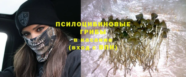 молекула духа Алексеевка